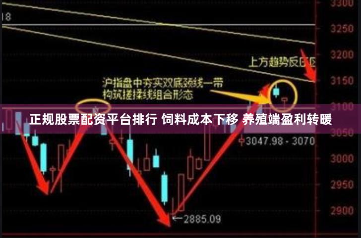 正规股票配资平台排行 饲料成本下移 养殖端盈利转暖