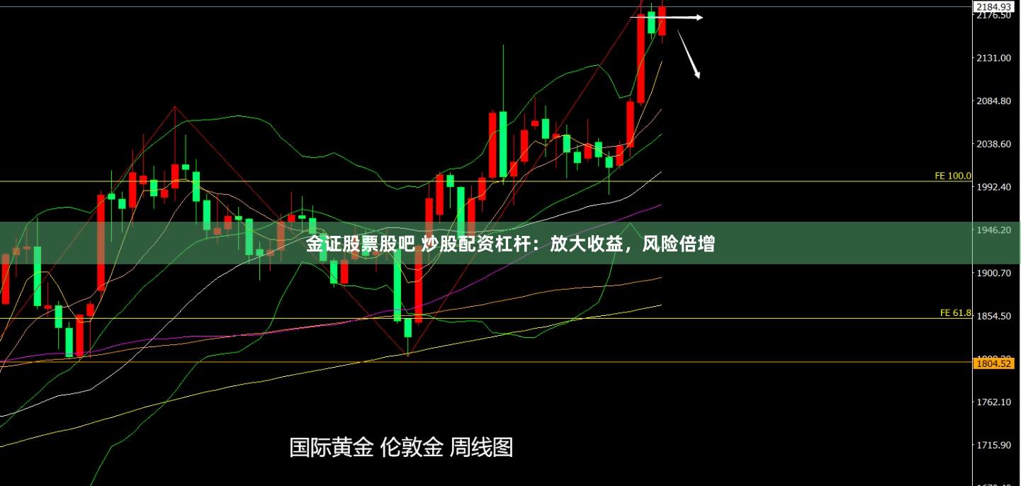 金证股票股吧 炒股配资杠杆：放大收益，风险倍增