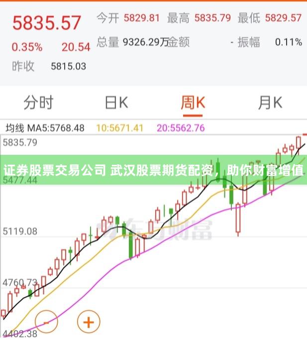 证券股票交易公司 武汉股票期货配资，助你财富增值
