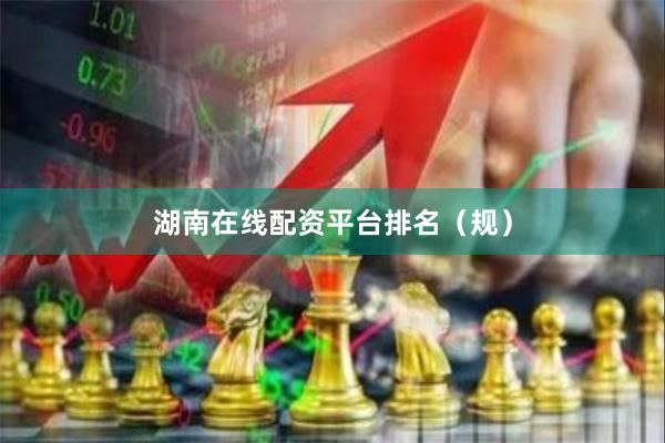 湖南在线配资平台排名(规)